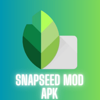 Snapseed Mod APK