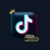 TikTok Mod APK