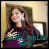 Sajal Malik