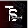 TS Game