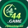 C44 Game