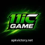11 IC Game